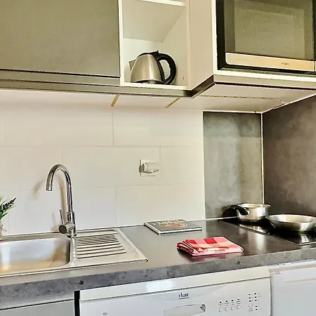 4 Pers. A Au Pied Des Pistes, Balcon Et Animaux Acceptes - Fr-1-411-391