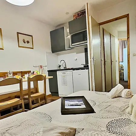 Lejlighed 4 Pers. A Au Pied Des Pistes, Balcon Et Animaux Acceptes - Fr-1-411-391